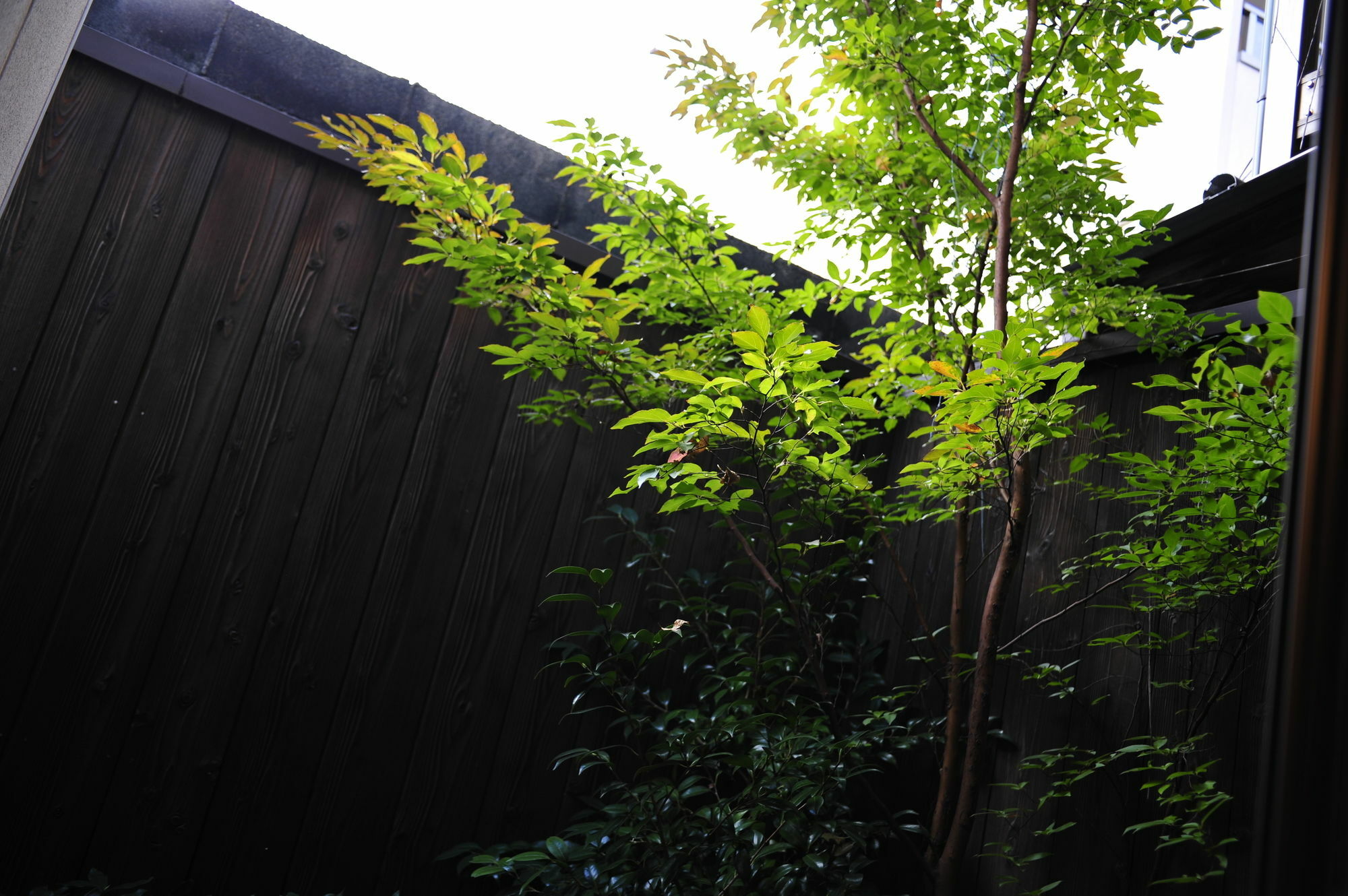Le Machiya Daikokucho Villa Kyoto Eksteriør bilde